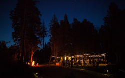 The Reception